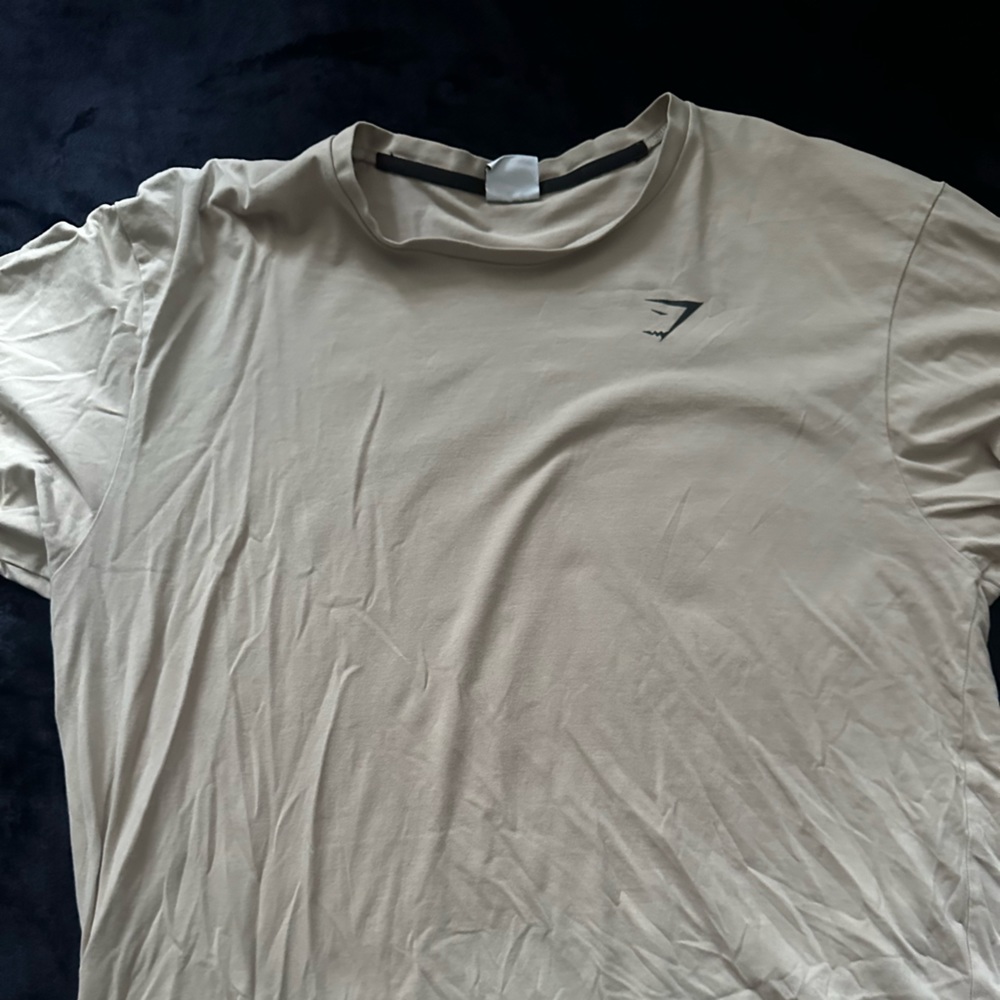 Gym shark tee